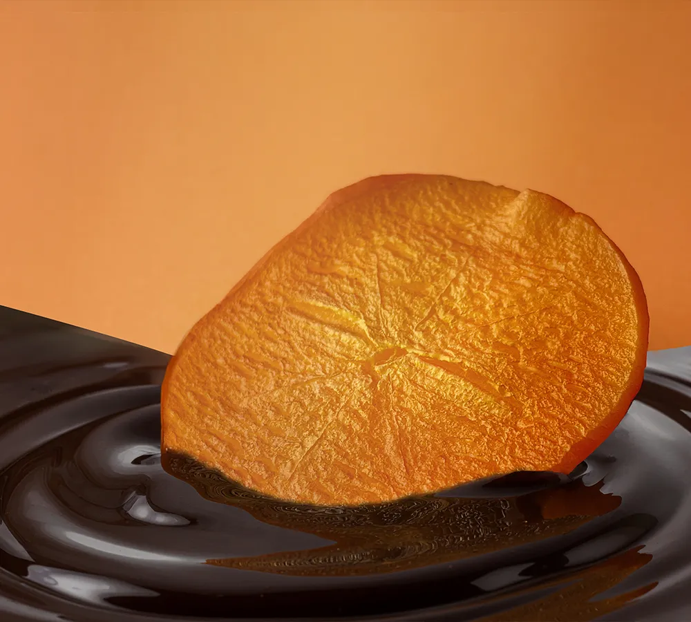 チョコがけ富有柿チップス