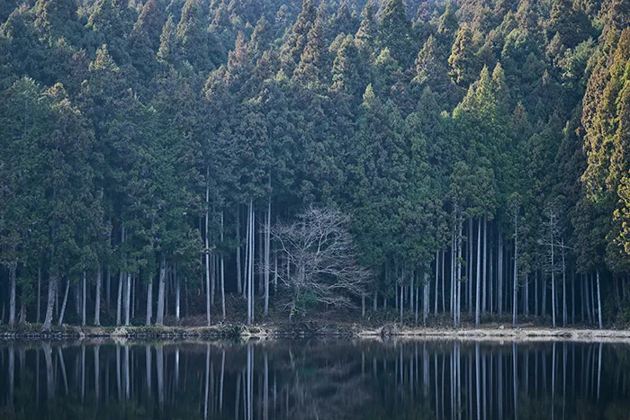 やまと果らり ブランドイメージ