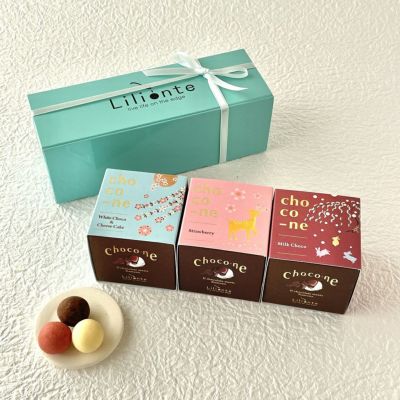 〇ラムネチョコ〇　4点と切り身バッグのセット売り ラムネ×口どけチョコ 6箱セット ギフト お菓子 熨斗対応